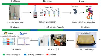 Using Targeted Liquid Chromatography-Tandem Mass Spectrometry to Rapidly Detect β-Lactam, Aminoglycoside, and Fluoroquinolone Resistance Mechanisms in Blood Cultures Growing E. coli or K. pneumoniae